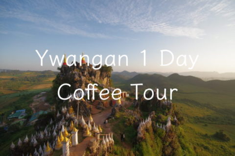 Ywangan Coffee